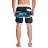 Quiksilver Everyday Grass Roots 17´´ Swimming Shorts