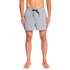 Quiksilver Everyday Volley 15´´ Swimming Shorts