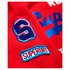 Superdry Sweat À Capuche Vintage Logo Bonded Satin