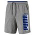 Puma Athletics 8´´ TR Shorts