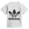 adidas Originals Trefoil short sleeve T-shirt
