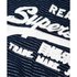 Superdry Vintage Logo Sparkle Stripe Short Sleeve T-Shirt