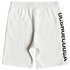 Dc shoes Glynroad Shorts