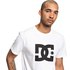 Dc shoes Star