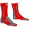 X-SOCKS Silver socken