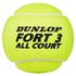 Dunlop Tennisbolde Fort TS All Court