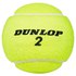 Dunlop Balles Tennis Club All Court