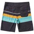Reef Peeler 2 Swimming Shorts