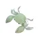 Evia Popera Small Crab