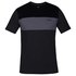 Hurley Dri-Fit Blocked Short Sleeve T-Shirt