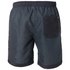 Rip curl Enfield Volley 17 Swimming Shorts