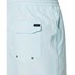 Rip curl Rays & Waves Volley Swimming Shorts