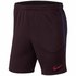 Nike FC Barcelona Dri Fit Strike Knit 19/20 Shorts