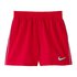 Nike Solid Lap 4 Trunk Badehose