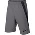Nike Training Shorts