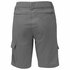 Columbia Silver Ridge 2.0 Cargo Shorts Pants