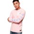 Superdry TickeType Pastel Long Sleeve T-Shirt