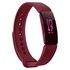Fitbit Inspire Activity Band