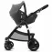 cbx Cotxet Leotie Pure