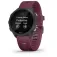 Garmin Reloj Forerunner 245