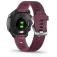 Garmin Reloj Forerunner 245