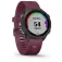Garmin Reloj Forerunner 245
