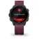 Garmin Reloj Forerunner 245