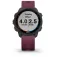 Garmin Reloj Forerunner 245