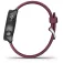 Garmin Reloj Forerunner 245
