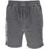 Spyder Classic Fleece shorts