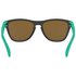 Oakley Frogskins XS Youth Sunglasses