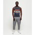 Superdry Vintage Authentic Chest Stripe Sleeveless T-Shirt