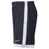 Nike Dri Fit Academy Short Pants
