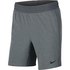 Nike Flex Active Tall Shorts