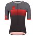 Santini Ironman Audax Short Sleeve Jersey