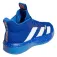 adidas Pro Next Basketball Shoes