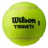 Wilson Tennis Pallot Triniti