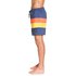 Quiksilver Seasons Volley 17´´ Swimming Shorts