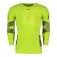 X-BIONIC Effektor 4.0 Run langarm-T-shirt