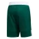 adidas 3G Speed Reversible shorts