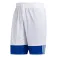 adidas 3G Speed Reversible shorts