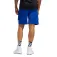 adidas 3G Speed Reversible shorts