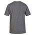Hurley Brotanical short sleeve T-shirt