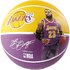Spalding Ballon Basketball NBA LeBron James