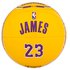 Spalding NBA LeBron James Basketbal Bal