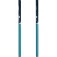 Komperdell Blue Boost 杖