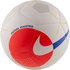 Nike Balón Fútbol Maestro Pro