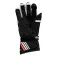 Alpinestars GP Plus R V2 手袋