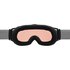 Alpina Challenge 2.0 QV Ski Goggles