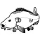 Hotspot design Autocollant Carp